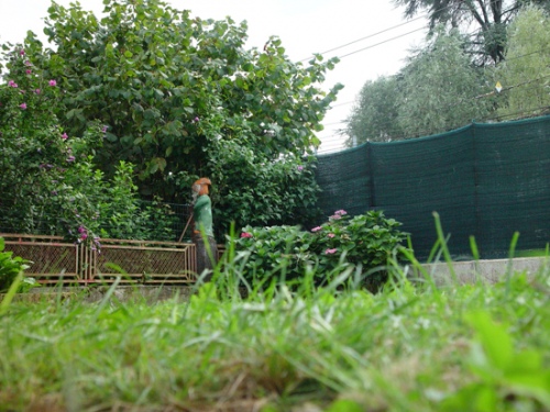 Garden Clearance Trowbridge